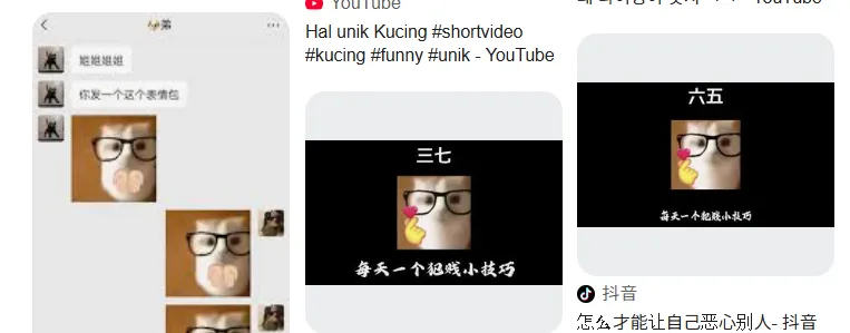 이미지 = 구글 이미지 검색 캡처 (https://www.google.com/search?vsrid=CMCcjefdsuHodxACGAEiJDJiM2Q2NTJhLWVkM2MtNGYyZC1iMzY2LTViNGNjNGYxYzFjZjIGIgJzZChBOIT_1OmB4o8D&vsint=CAIqDAoCCAcSAggKGAEgATojChYNAAAAPxUAAAA_HQAAgD8lAACAPzABEIQFGIAFJQAAgD8&udm=26&lns_mode=un&source=lns.web.gsbubb&vsdim=644,640&gsessionid=HqLxLko4gbXUGHw9HIJ8LI2XnI2_xq-403MmkLO7sIdeCPwpYw6cwQ&lsessionid=f_-e0-OHd0yo369hAKhyBeSlQRu2ifYULSUcL-DxvAnzK51xgT4JCQ&lns_surface=26&authuser=0&lns_vfs=e&qsubts=1758188346420&biw=967&bih=563&hl=ko)