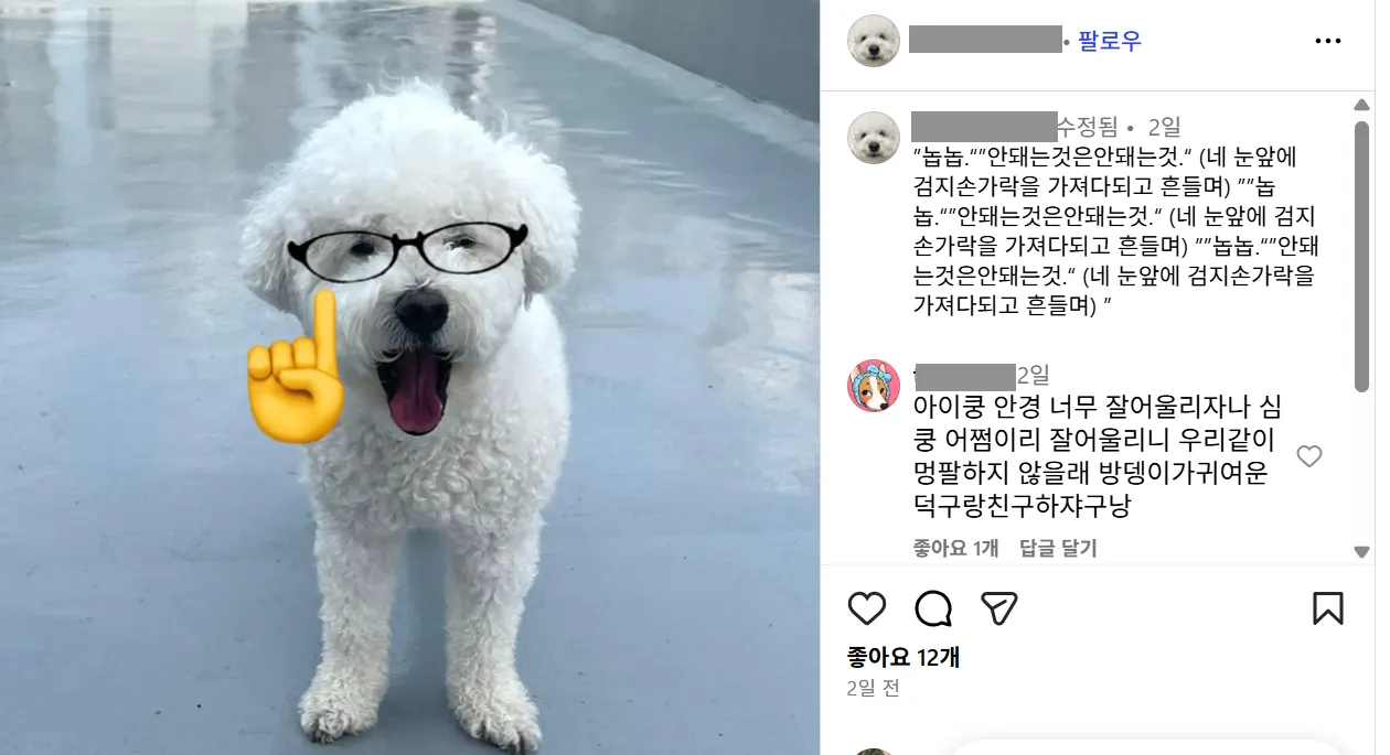 이미지 = 인스타그램 캡처 (https://www.instagram.com/p/DOprxfFk4Ad/?utm_source=ig_web_copy_link)