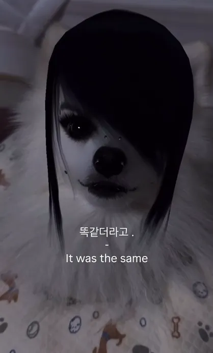 이미지 = 인스타그램 캡처 (https://www.instagram.com/reel/DOVqa7wCZGs/?utm_source=ig_web_copy_link&igsh=MzRlODBiNWFlZA==)