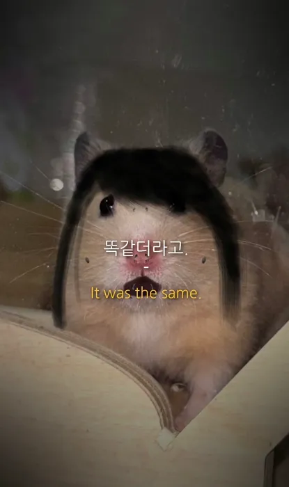 이미지 = 인스타그램 캡처 (https://www.instagram.com/reel/DON-CRgklVv/?utm_source=ig_web_copy_link&igsh=MzRlODBiNWFlZA==)