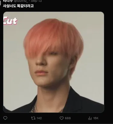 이미지 = X캡처 (https://x.com/ddinu_/status/1966837418390417623)