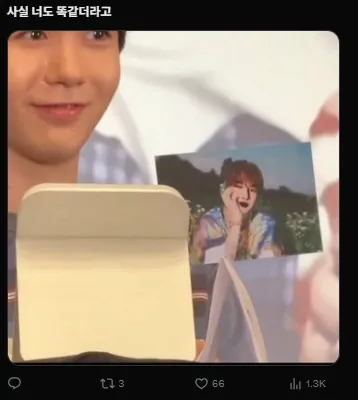 이미지 = X캡처 (https://x.com/green__starwish/status/1969968510718685305)