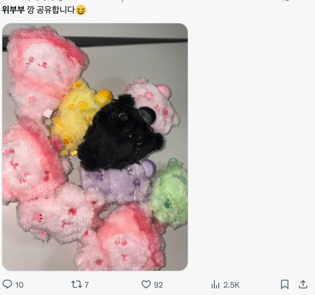 이미지 = X 캡처 (https://x.com/wishriku2/status/1968194027989414146)