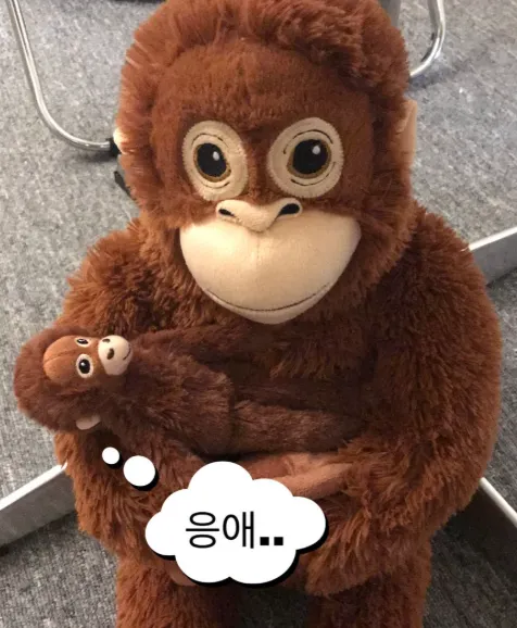 이미지 = 핀터레스트 캡처 (https://kr.pinterest.com/pin/25403185389977499/)