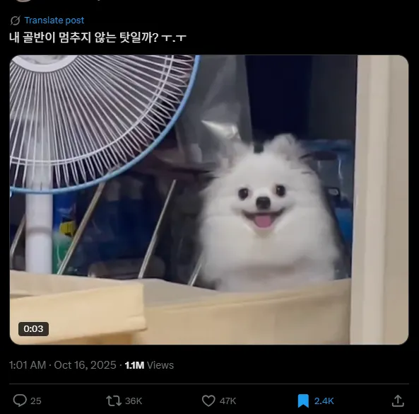 이미지 = X캡처 (https://x.com/nomonkey0/status/1978491481468895470)