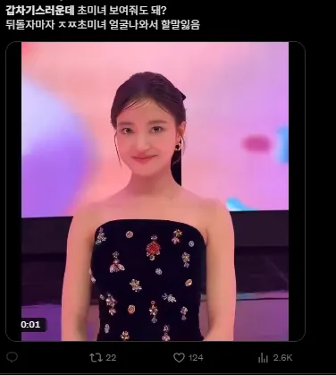 이미지 = X캡처 (https://x.com/230zip/status/1980635402034901451)