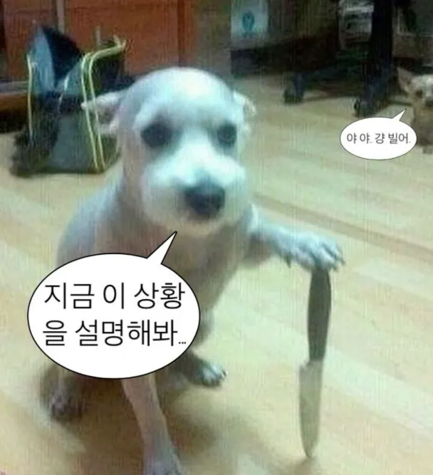 이미지 = 핀터레스트 캡처 (https://kr.pinterest.com/pin/784963410094600725/)