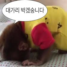 이미지 = picak mag. 인스타그램 캡쳐 (https://www.instagram.com/p/DFtxsGcSVNQ/)