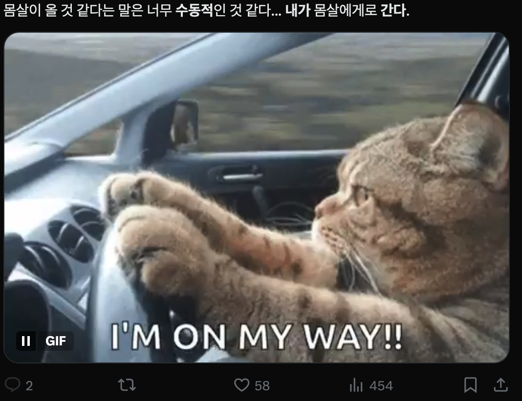 이미지 = X 캡처 (https://x.com/lingchen2022/status/1984971245616787841?s=20)