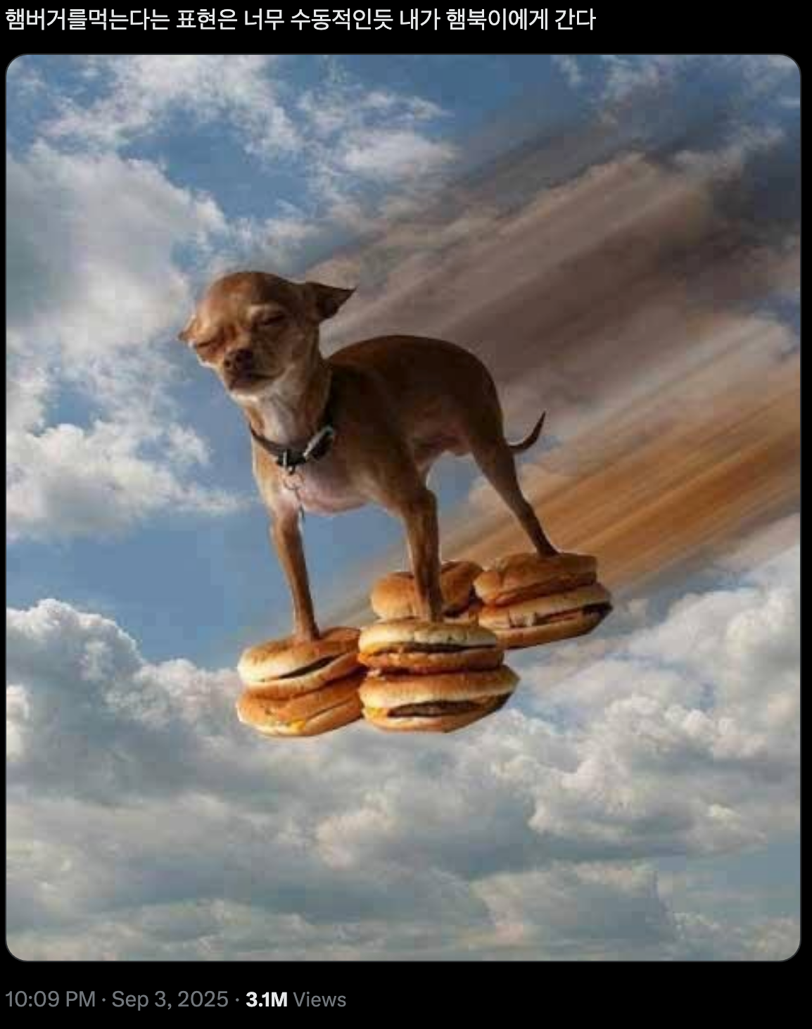 이미지 = X 캡처 (https://x.com/poozzangdesu/status/1963227771796140341?s=20)