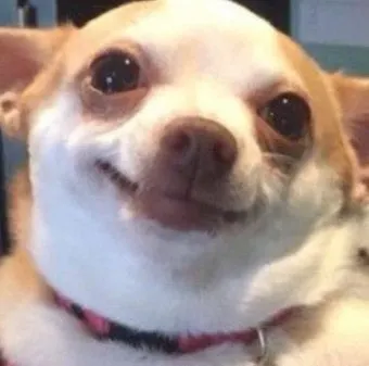 이미지 = 네이버 블로그 캡처 (https://blog.naver.com/hansatoy/223578801628)