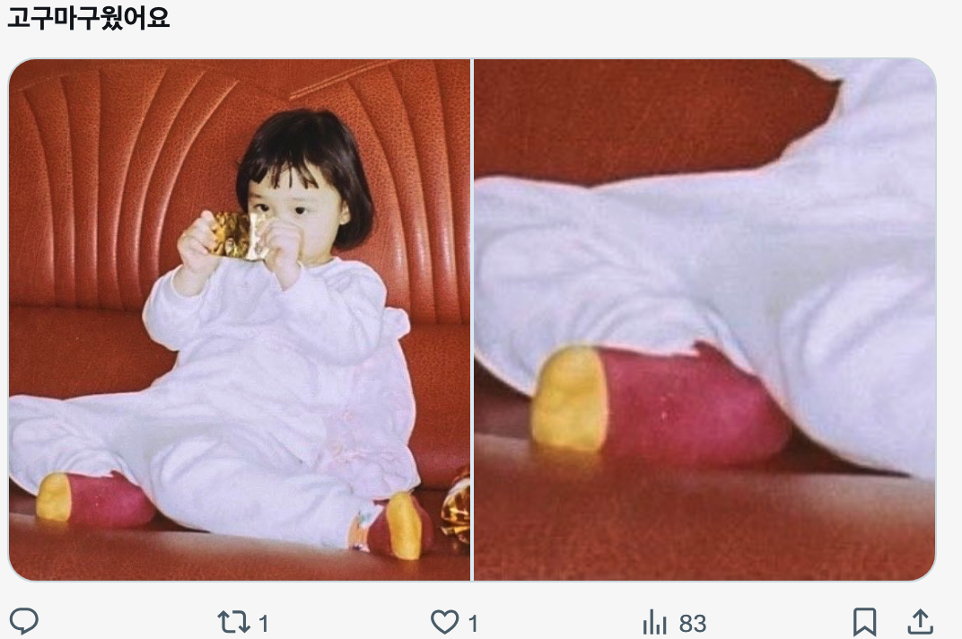 이미지 = X 캡처 (https://x.com/callthedoctorr/status/1977231818903658956?s=20)