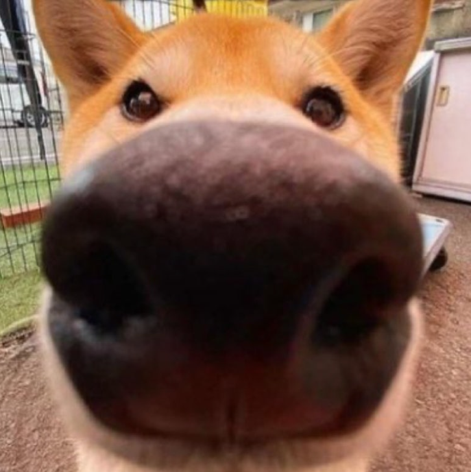 이미지 = 네이버 블로그 캡처 (https://blog.naver.com/grunmxi/222350971250)