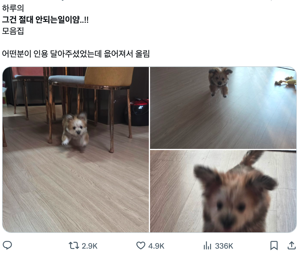 이미지 = X 캡처 (https://x.com/HaruDiary1102/status/1992820295422652678?s=20)