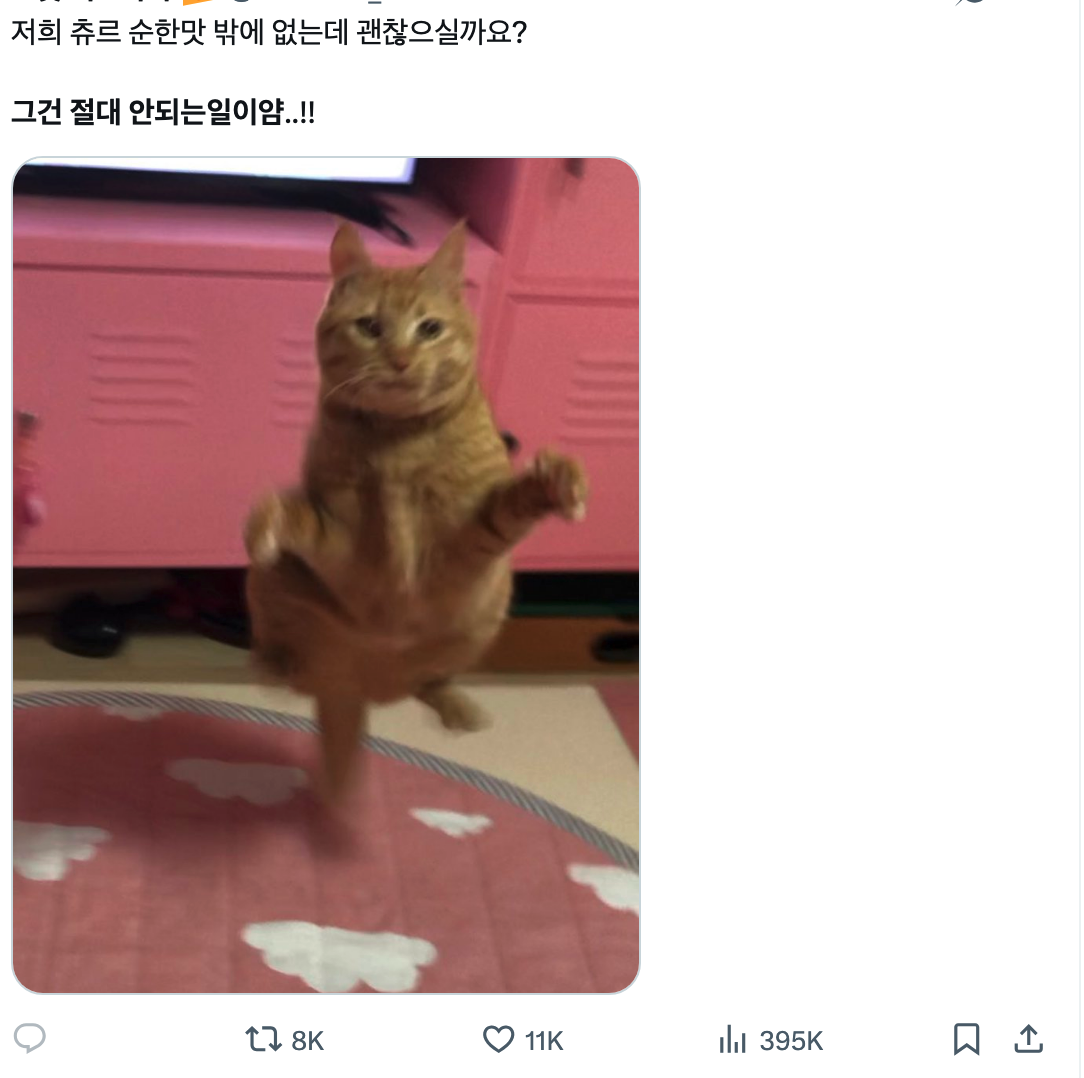 이미지 = X 캡처 (https://x.com/universe_mei/status/1991723397311864896?s=20)