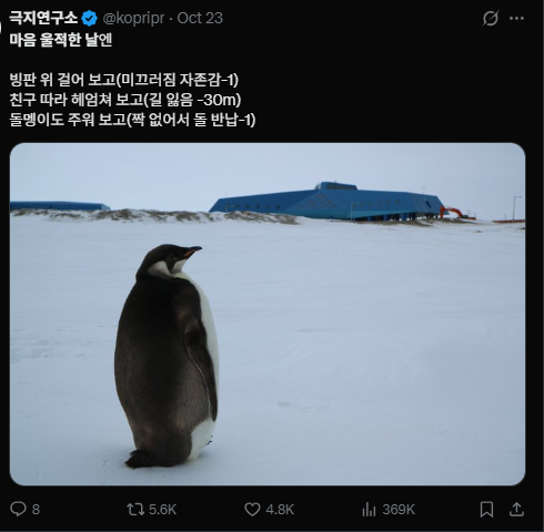 이미지 = X 캡처 (https://x.com/kopripr/status/1981284467227726325?s=20)