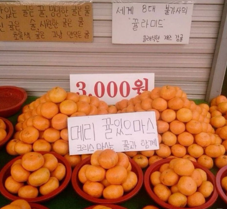 이미지 = 핀터레스트 캡처 (https://kr.pinterest.com/pin/40391727904719155/)