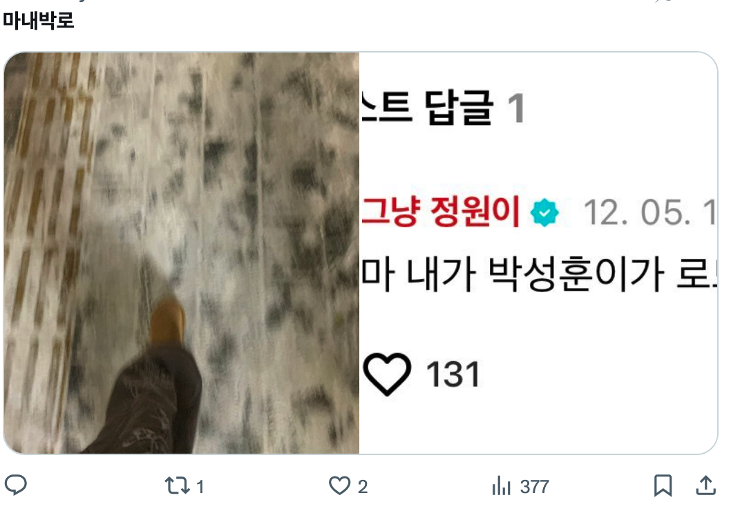 이미지 = X 캡처 (https://x.com/iamyourwhale/status/1996890857346338912?s=20)