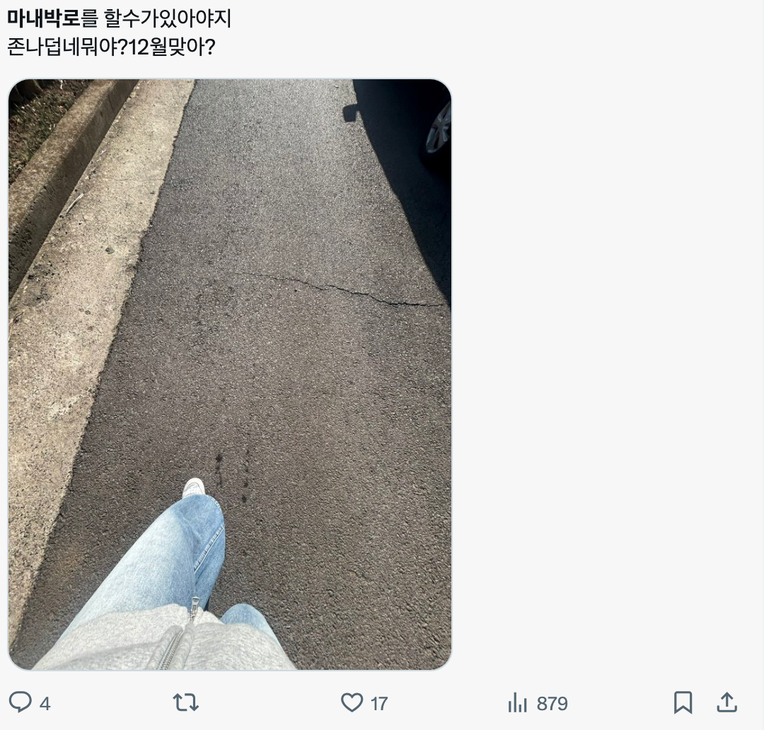 이미지 = X 캡처 (https://x.com/jjungluv_04/status/1997125229781700795?s=20)