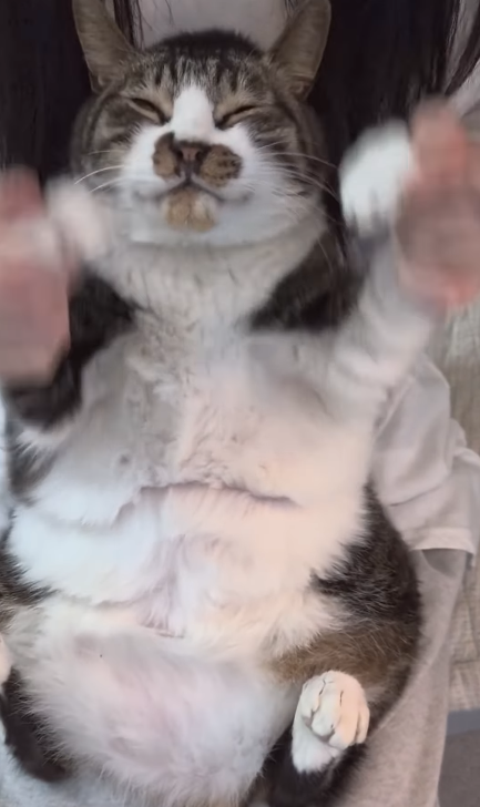 이미지 = 인스타그램 캡처 (https://www.instagram.com/reel/DRy1Zjogcmz/?utm_source=ig_web_copy_link&igsh=MzRlODBiNWFlZA==)