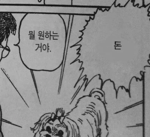 이미지 = 핀터레스트 캡처 (https://kr.pinterest.com/pin/17099673581169968/)