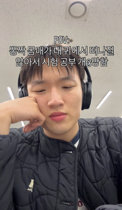 이미지 = 인스타그램 캡처 (https://www.instagram.com/reel/DSPw6bzE7GS/?utm_source=ig_web_copy_link&igsh=MzRlODBiNWFlZA==)