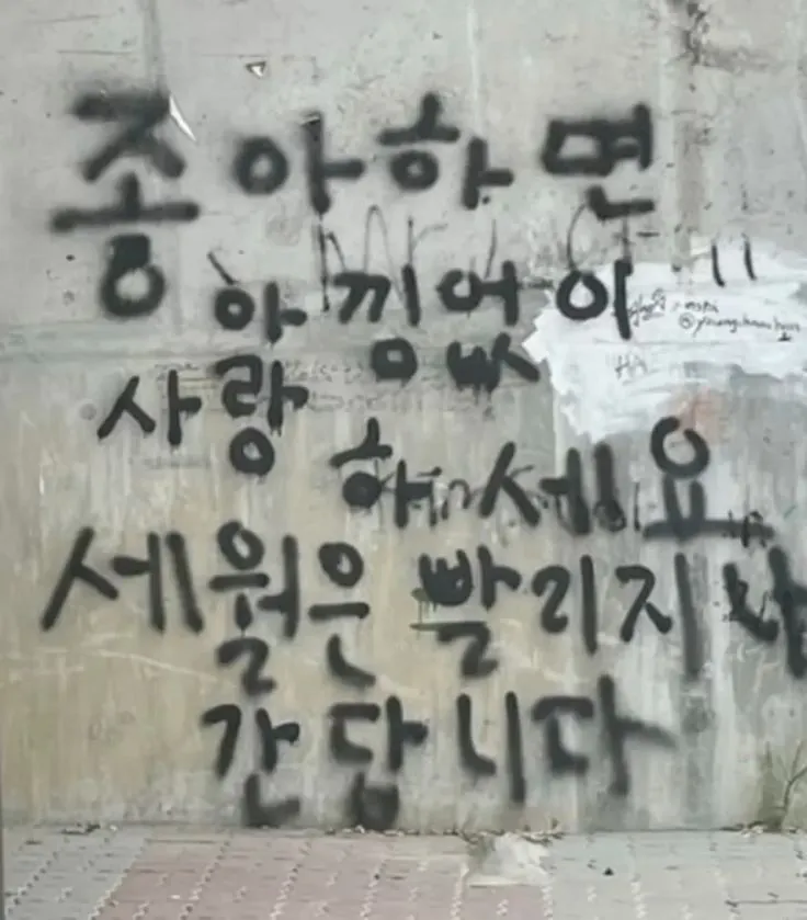 이미지 = 핀터레스트 캡처 (https://kr.pinterest.com/pin/54676582971744910/)
