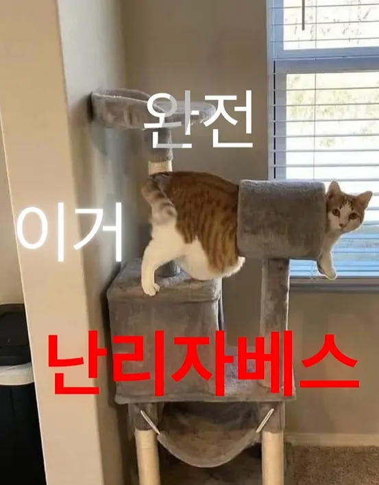 이미지 = 인스타그램 캡처 (https://www.instagram.com/p/DTKkQYjEv34/?img_index=1)