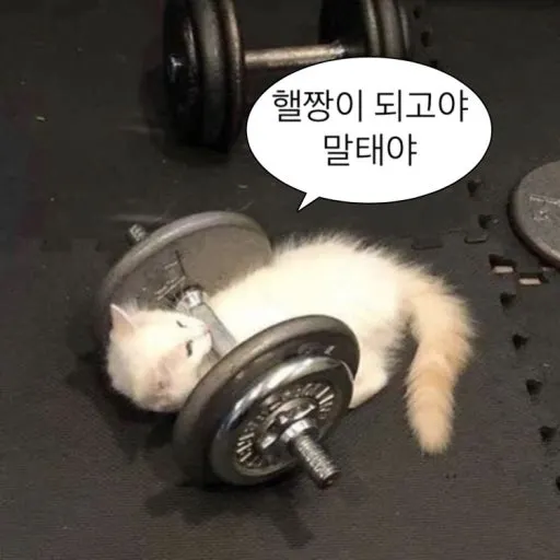 이미지 = 네이버 블로그 캡처 (https://blog.naver.com/ymtlfet/222871441326)