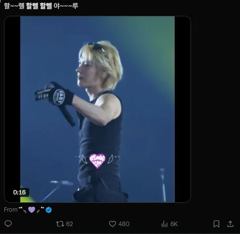 이미지 = X캡처 (https://x.com/sunghoIic/status/2004883616707616822?s=20)