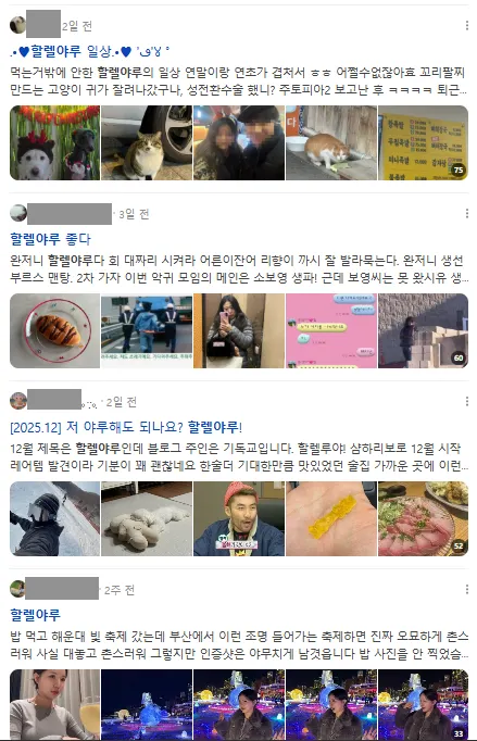 이미지 = 네이버 검색 캡처 (https://search.naver.com/search.naver?sm=tab_hty.top&ssc=tab.blog.all&query=할렐야루&oquery=할렐&tqi=jTmwgsqXKZ0ssS8bgGN-047970&ackey=t4p58i4j)