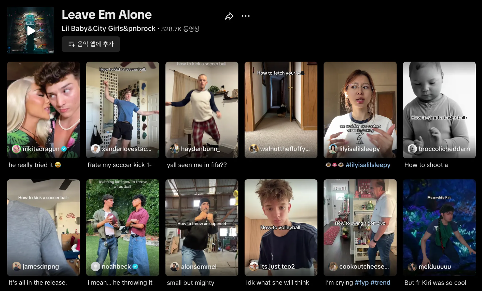 이미지 = 틱톡 음원 ‘Leave Em Alone’ 검색 화면 캡처 (https://www.tiktok.com/music/Leave-Em-Alone-6750949227020421121)