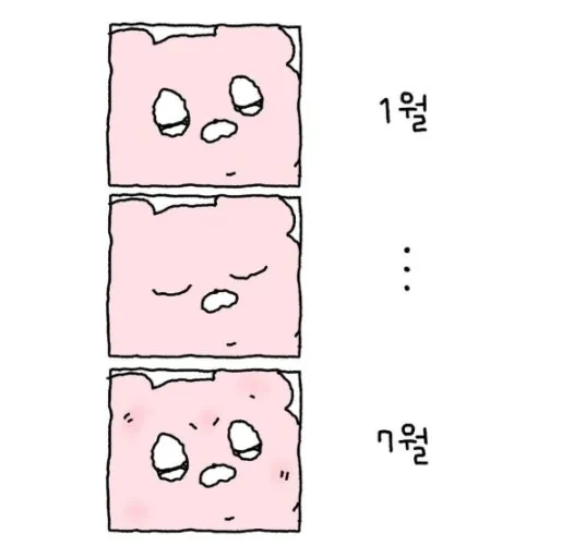 이미지 = 네이버 블로그 캡처 (https://blog.naver.com/hyhy812/223954264367