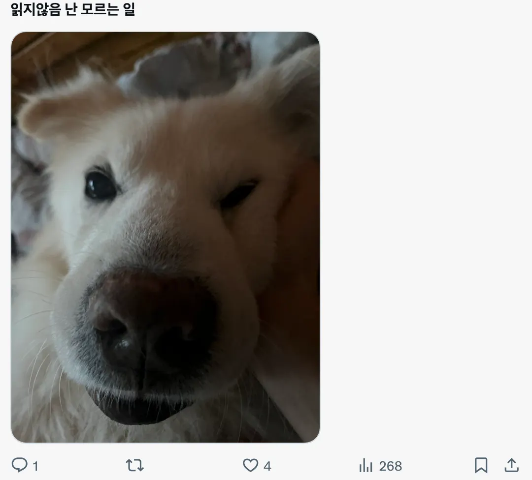 이미지 = X 캡처 (https://x.com/kunggg172/status/2014144248699093475?s=20)