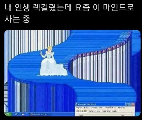 이미지 = 네이버 블로그 캡처 (https://blog.naver.com/delight_94/222549404659)