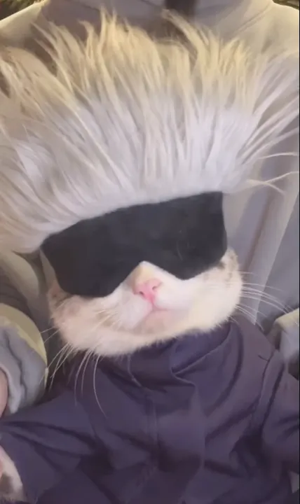 이미지 = 인스타그램 캡처 (https://www.instagram.com/p/DT0CG0MAfJ6/)