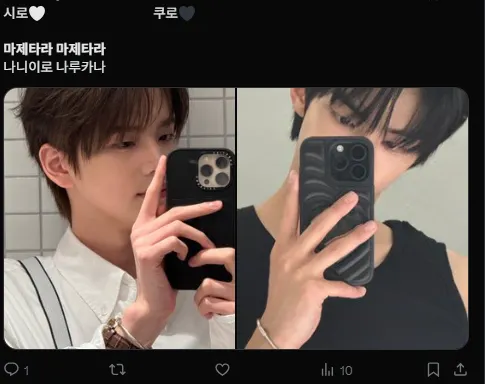 이미지 = X캡처 (https://x.com/yud0luv/status/2015603573384474705?s=20)