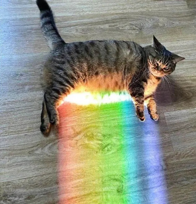 이미지 =네이버 블로그 캡처 (https://blog.naver.com/dhdktltm0828/222121638396)