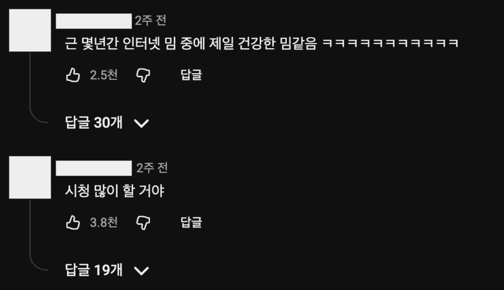 이미지 = 유튜브 ‘@stungunTV’ 채널 영상 댓글 캡처 (https://www.youtube.com/watch?v=Kr4MQzBov5g)