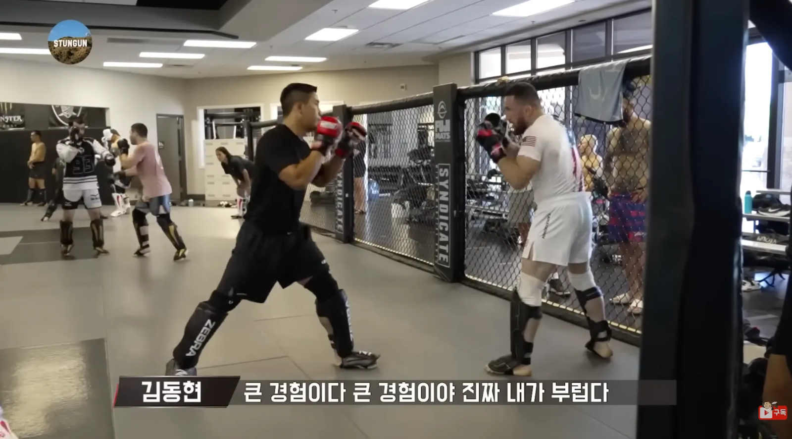 이미지 = 유튜브 ‘@stungunTV’ 채널 영상 캡처 (https://www.youtube.com/watch?v=Y12ZQzh12Rw)