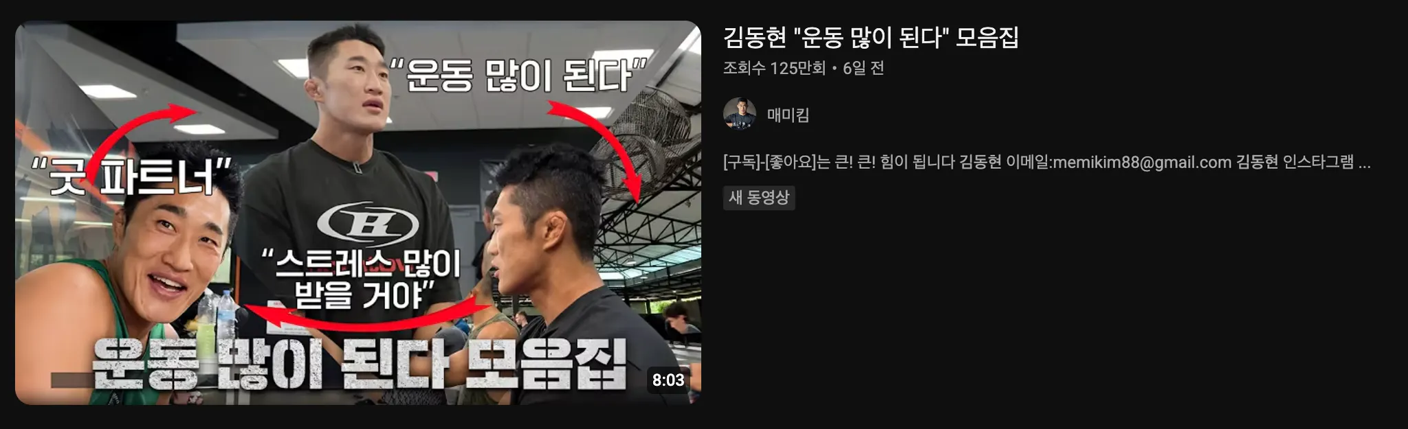 이미지 = 유튜브 ‘김동현’ 검색 화면 캡처 (https://www.youtube.com/results?search_query=김동현)