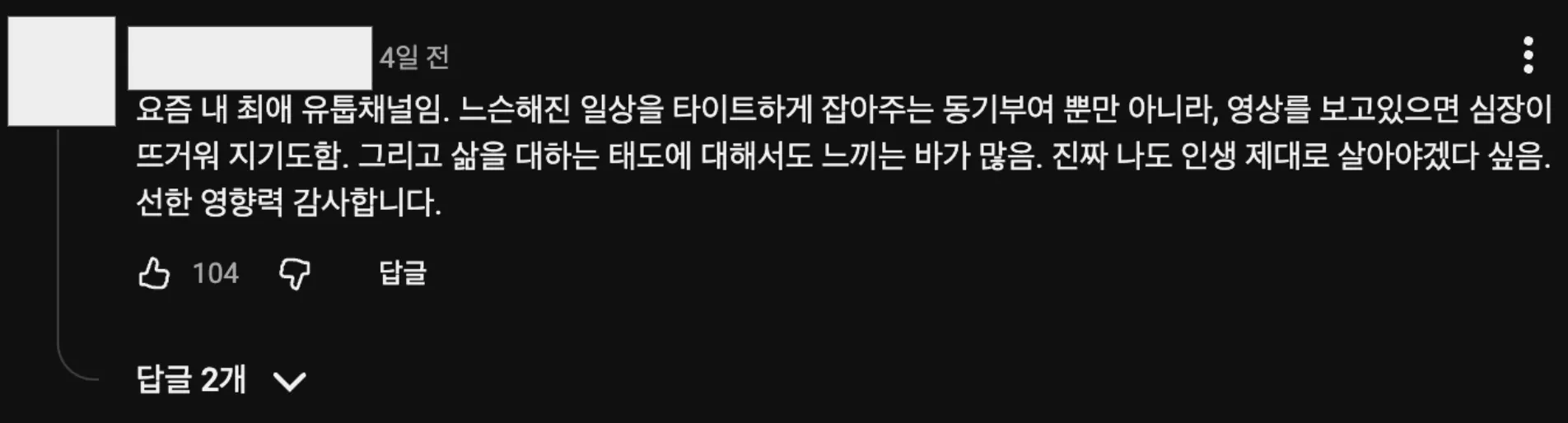 이미지 = 유튜브 ‘@stungunTV’ 채널 영상 댓글 캡처 (https://www.youtube.com/watch?v=k631ITHE3HI)