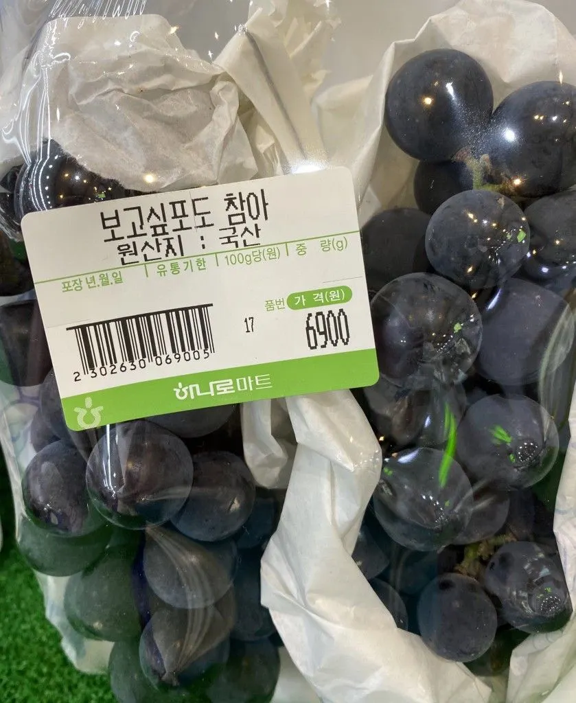 이미지 = 핀터레스트 캡처 (https://kr.pinterest.com/pin/319896379801095107/)