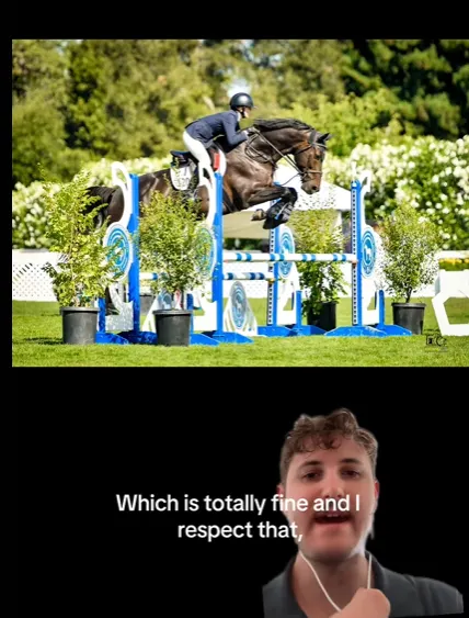 이미지 = 틱톡 캡처 (https://www.tiktok.com/@maxrulesyoudrool/video/7569325586695425293?is_from_webapp=1&sender_device=pc&web_id=7457769359504442897)