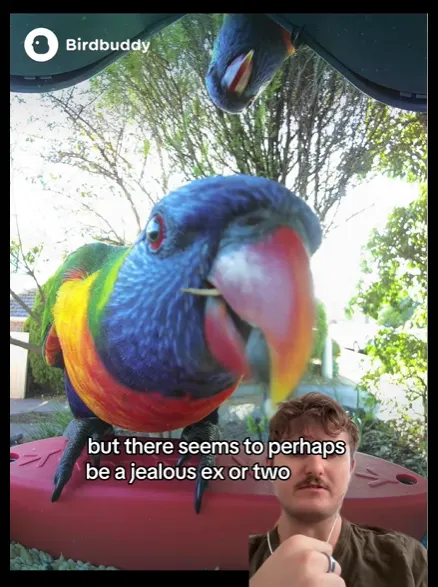 이미지 = 틱톡 캡처 (https://www.tiktok.com/@maxrulesyoudrool/video/7584175467943562509?is_from_webapp=1&sender_device=pc&web_id=7457769359504442897)