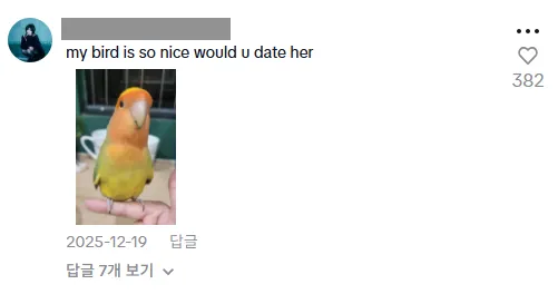 이미지 = 틱톡 댓글 캡처 (https://www.tiktok.com/@maxrulesyoudrool/video/7584175467943562509?is_from_webapp=1&sender_device=pc&web_id=7457769359504442897)