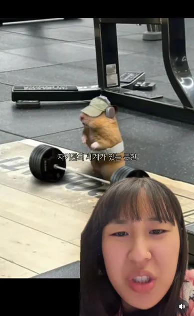 이미지 = 인스타그램 캡처 (https://www.instagram.com/reel/DTw9w0PkuCx/)