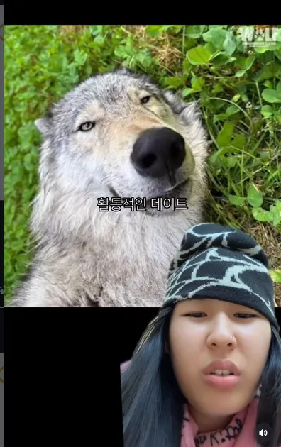 이미지 = 인스타그램 캡처 (https://www.instagram.com/reel/DUScvkxEmlO/)