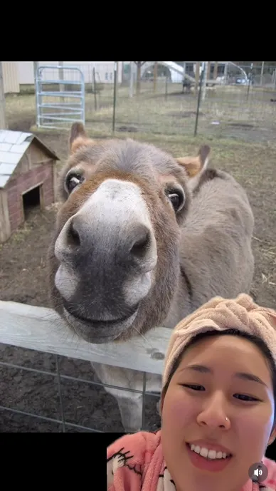 이미지 = 인스타그램 캡처 (https://www.instagram.com/reel/DUFj_QQkmpB/)