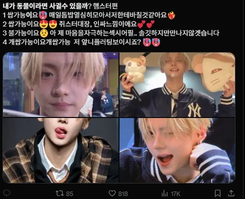 이미지 = X캡처 (https://x.com/nocontexthamtor/status/2018263937431855210?s=20)